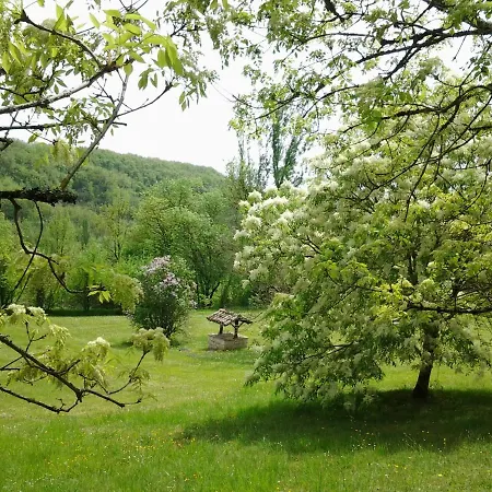 Sous Les Arbres, Lieu Dit Cassagnal *