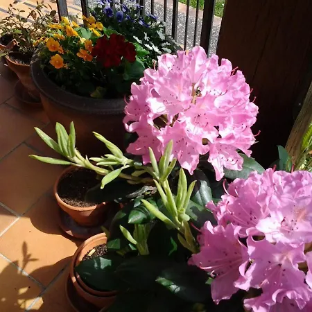 Sous Les Arbres, Lieu Dit Cassagnal Bed & Breakfast Montagudet